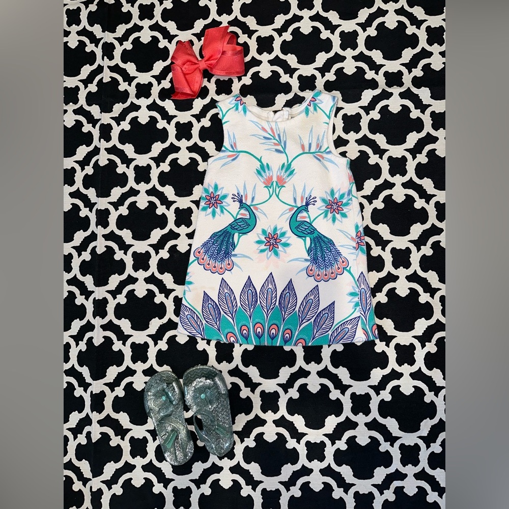 Oshkosh 18M Dress